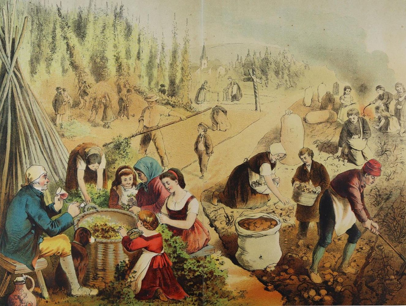 Große Abbildung Nr.2: 137-2616 Berufe.: (Varia)