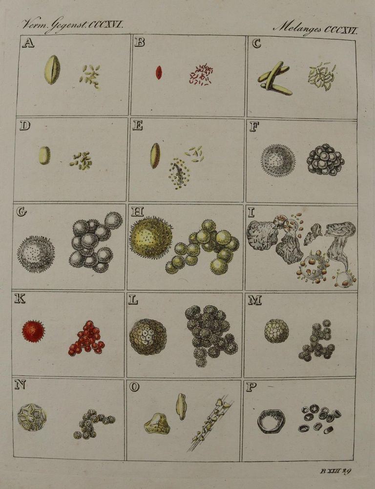 Große Abbildung Nr.1: 137-2642 Pflanzen.: (Varia, Botanik)