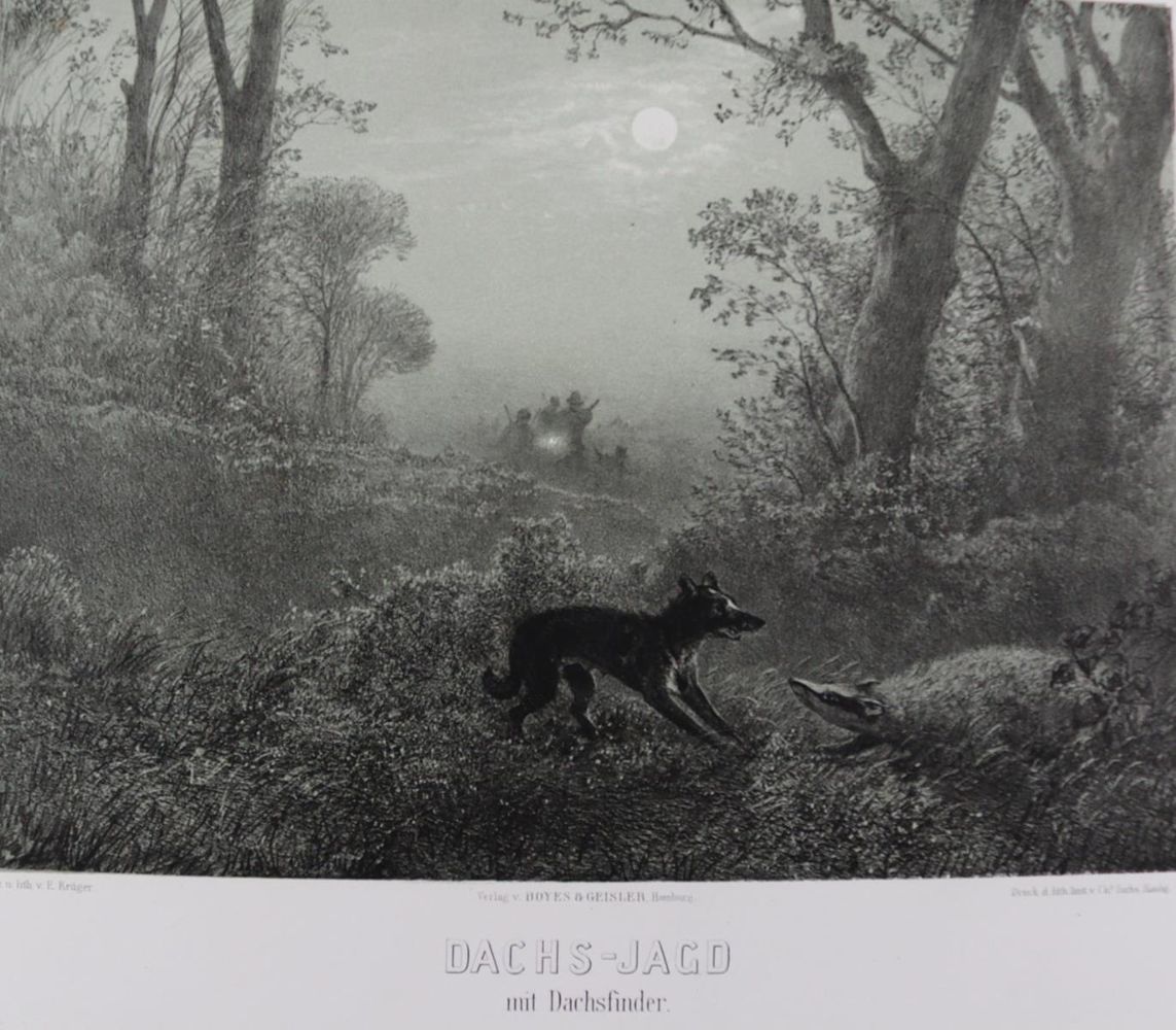 Große Abbildung Nr.1: 137-2667 Sammlung: (Varia, Jagd)