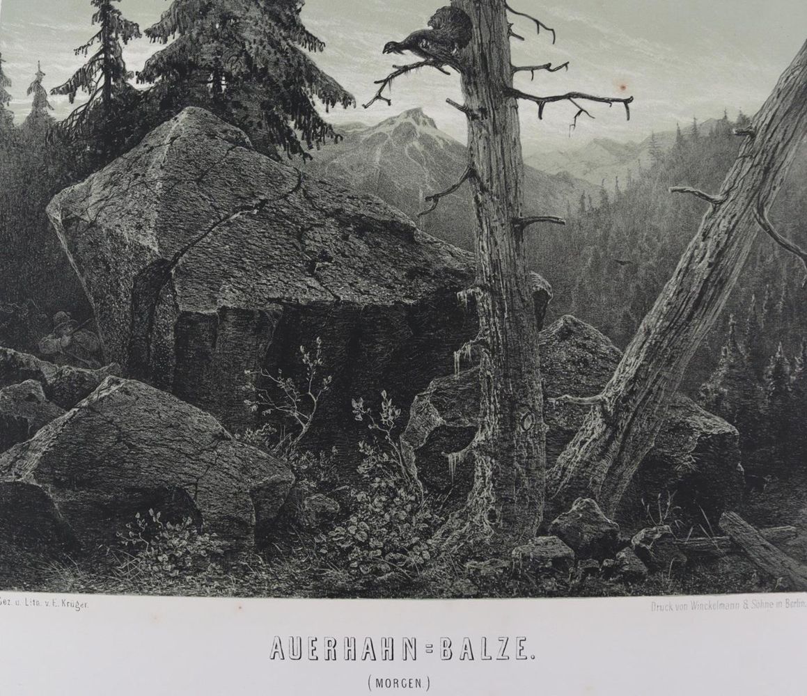 Große Abbildung Nr.4: 137-2667 Sammlung: (Varia, Jagd)