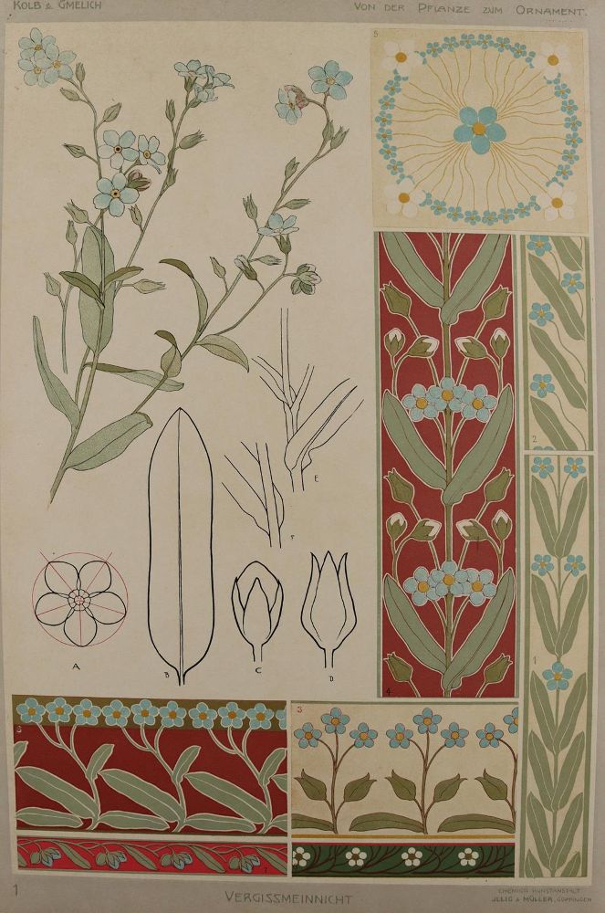 Große Abbildung Nr.2: 137-2670 Pflanzenornamente.: (Varia, Jugendstil)