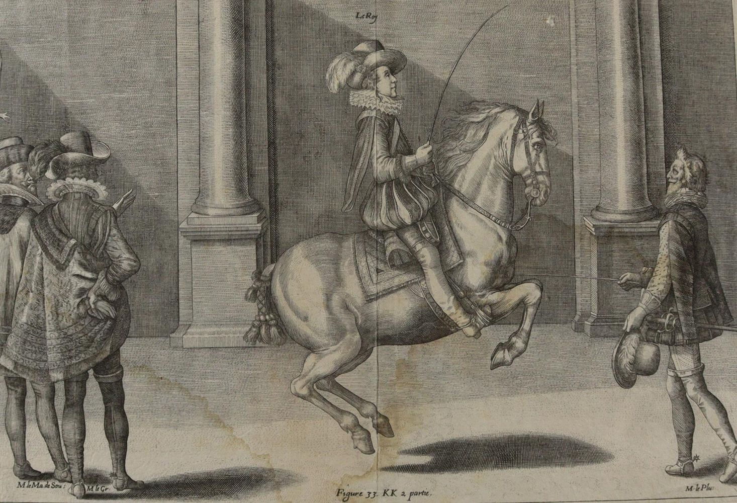 Große Abbildung Nr.1: 137-2740 Pferde.: (Varia, Zoologie)