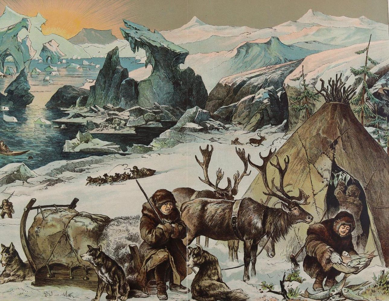 Große Abbildung Nr.3: 137-2745 Tiere.: (Varia, Zoologie)