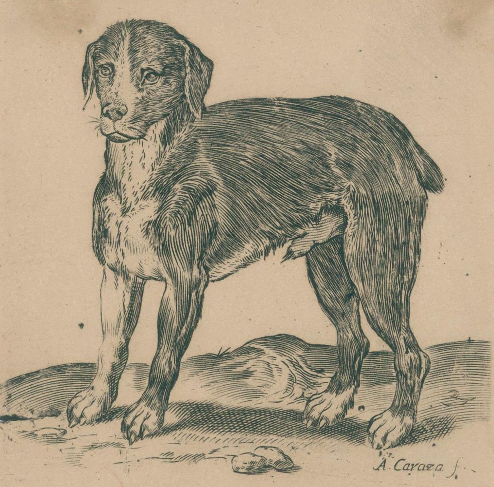 Große Abbildung Nr.1: 137-3280 Carracci, Agostino: (Künstlergraphik)