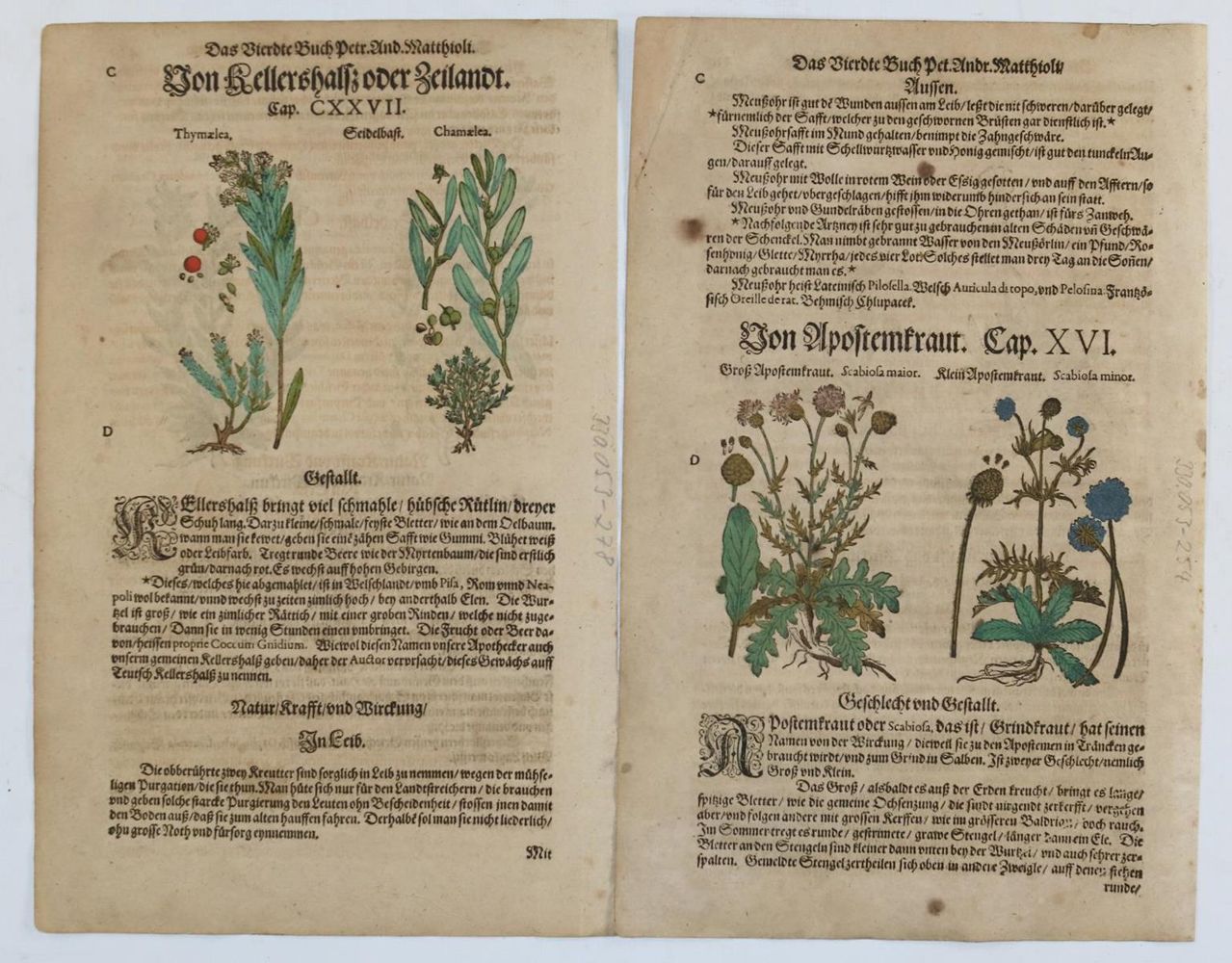 Große Abbildung Nr.1: 137-3675 Konvolut: (Künstlergraphik)