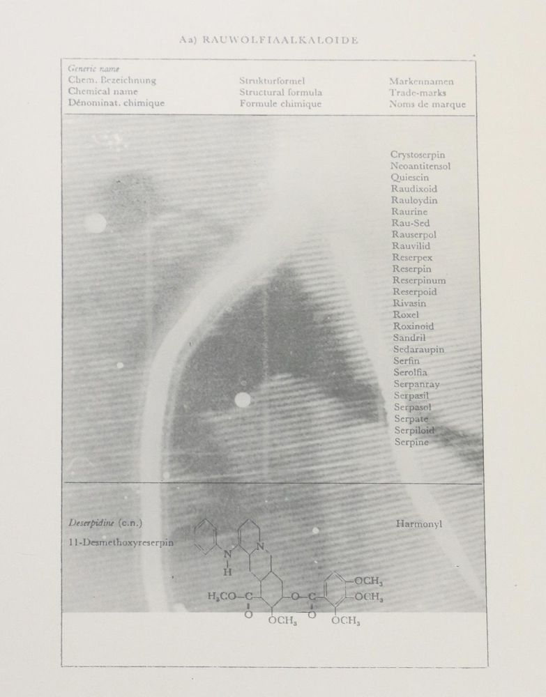 Große Abbildung Nr.1: 137-3852 Polke, Sigmar: (Künstlergraphik)