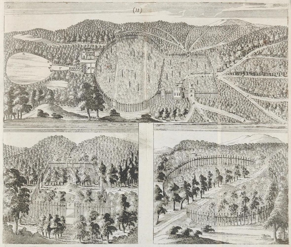 Große Abbildung Nr.1: 137-573 Täntzer,J.: (Jagd)