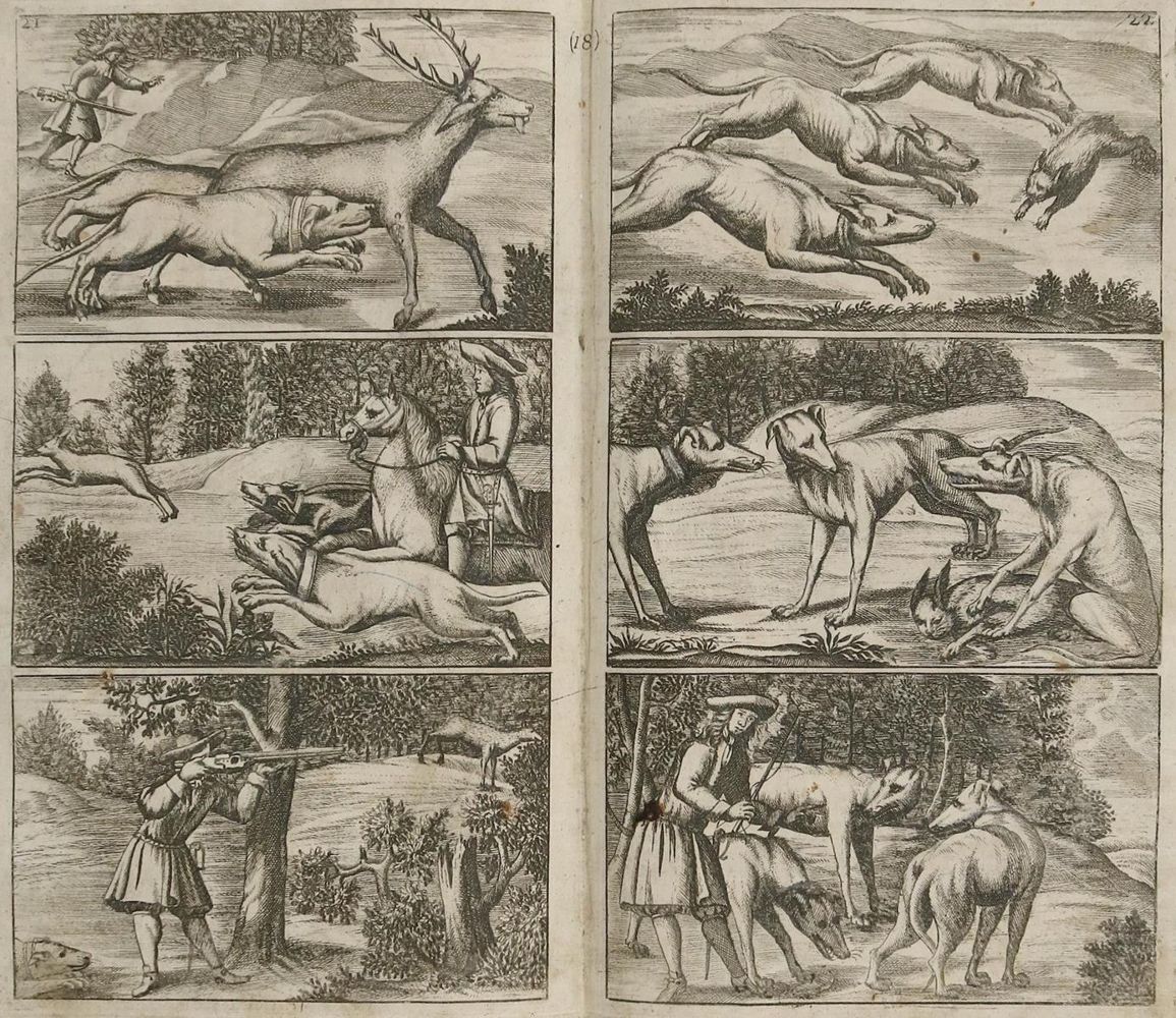 Große Abbildung Nr.2: 137-573 Täntzer,J.: (Jagd)
