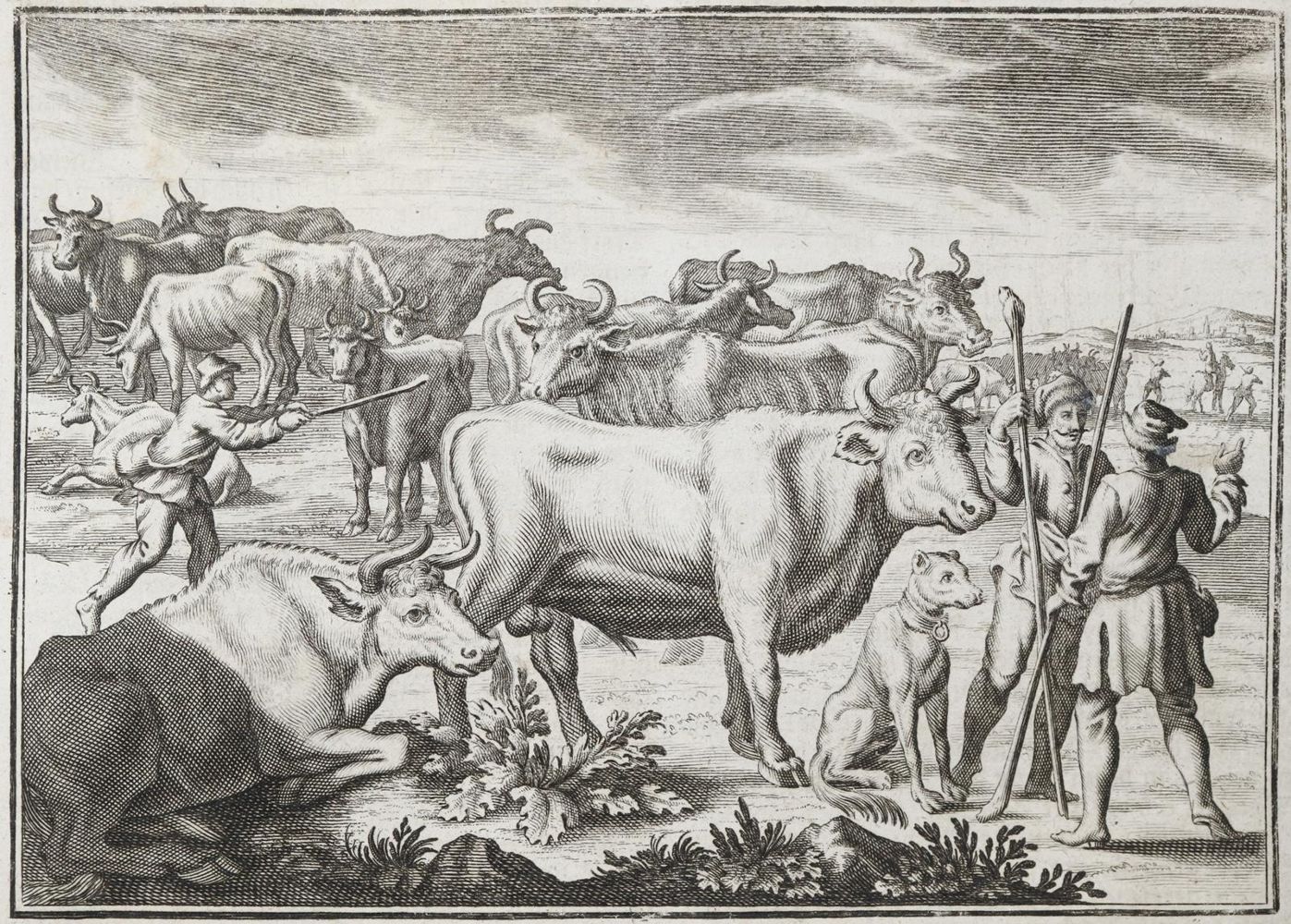 Große Abbildung Nr.1: 137-608 Florinus,F.P.: (Küche und Haushalt, Hausväterliteratur)