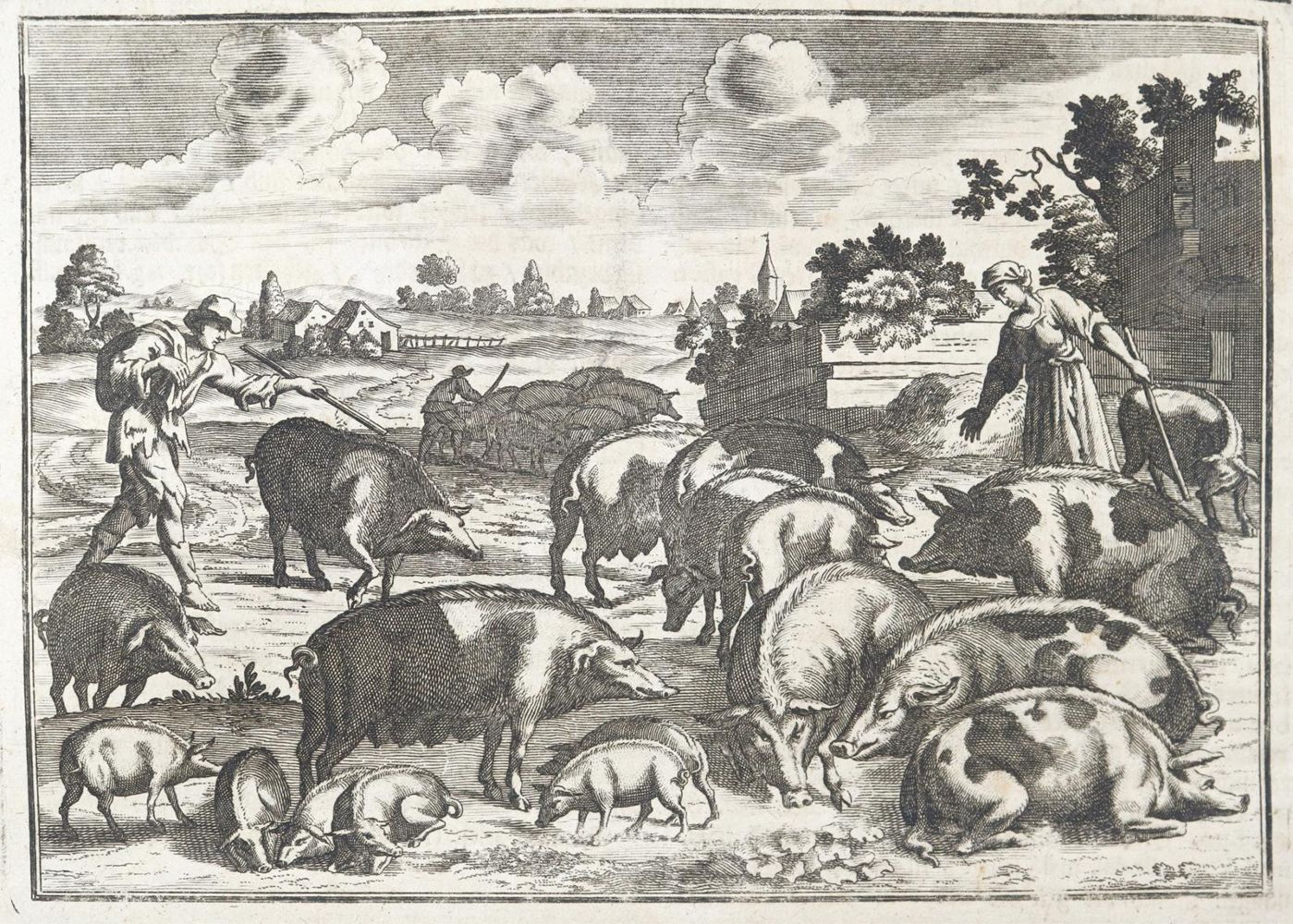 Große Abbildung Nr.2: 137-608 Florinus,F.P.: (Küche und Haushalt, Hausväterliteratur)