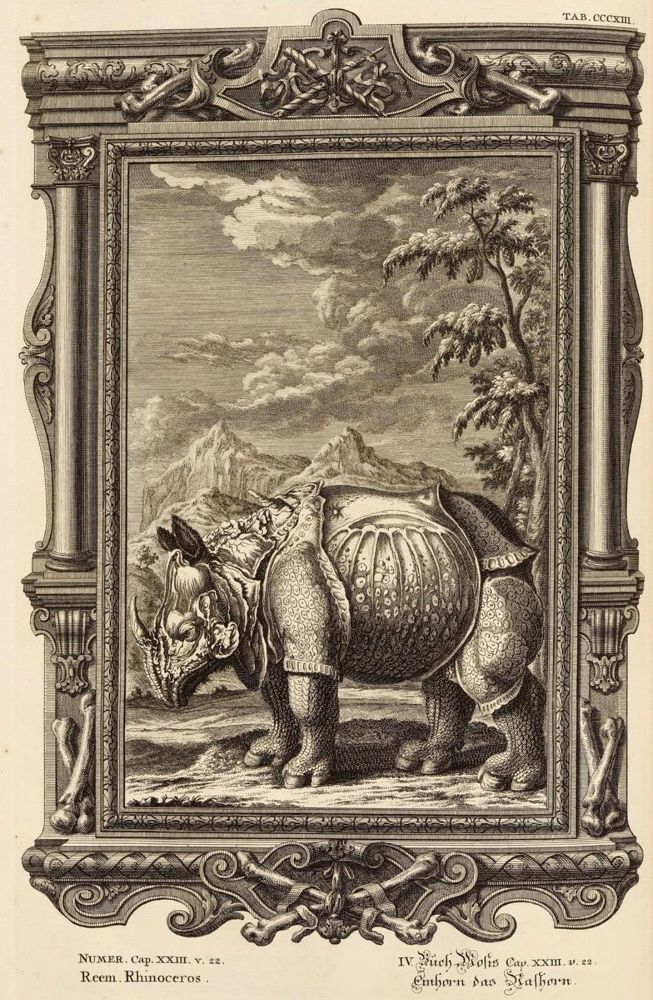Große Abbildung Nr.2: 137-61 Scheuchzer,J.J.: (Bibeln)