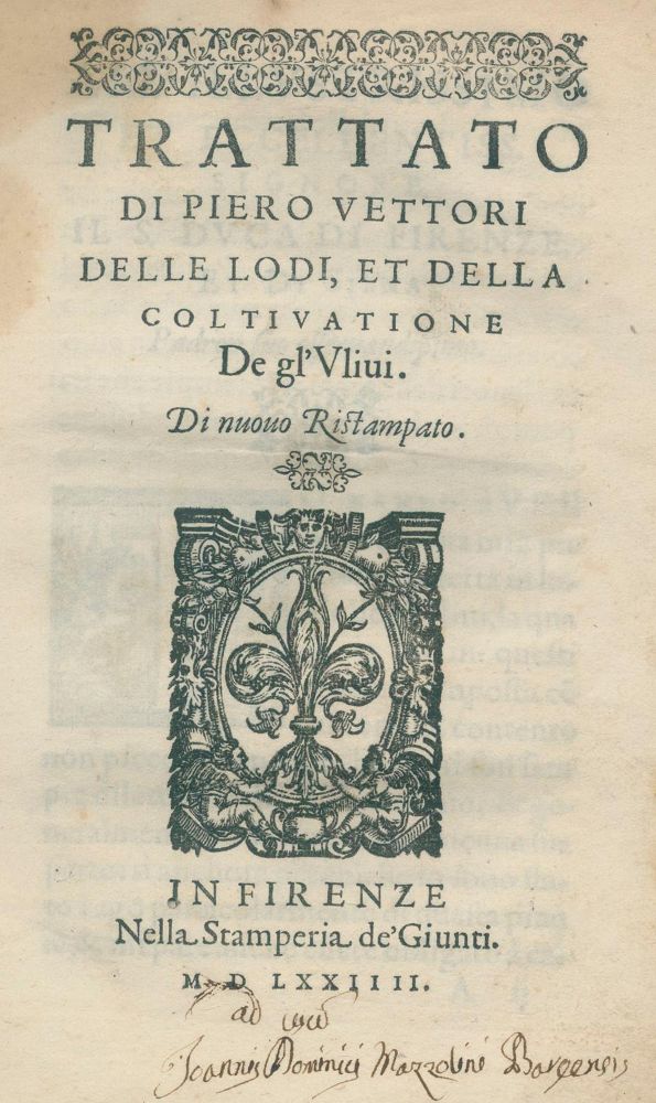 Große Abbildung Nr.1: 137-682 Vettori,P.: (Land- und Forstwirtschaft, Garten, Oliven)