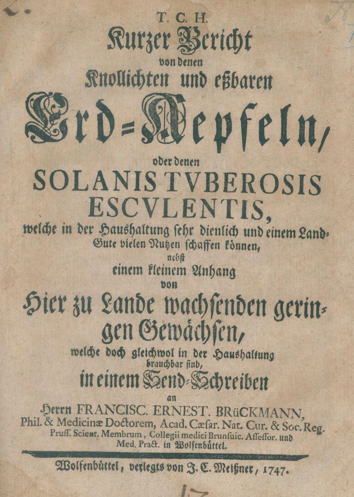 Große Abbildung Nr.1: 137-687 H(oppe),T.C.: (Land- und Forstwirtschaft, Landwirtschaft, Kartoffeln)