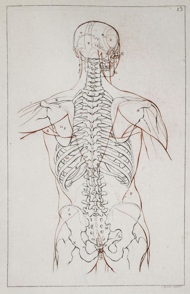Große Abbildung Nr.1: 137-736 Lavater,J.H.: (Kunstwissenschaft)