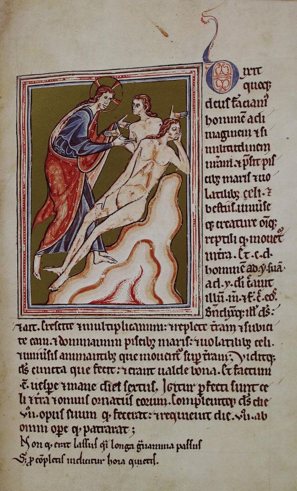 Große Abbildung Nr.1: 137-813 Bestiarium.: (Faksimile, Ashmole)