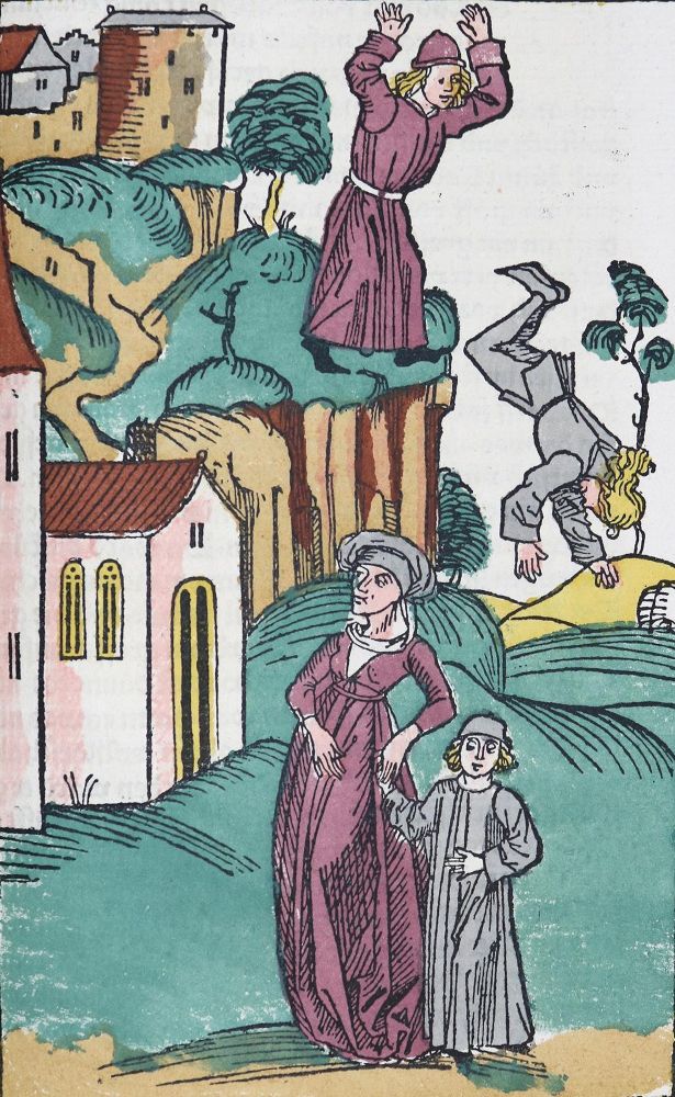 Große Abbildung Nr.1: 137-829 Lirer,T.: (Faksimile)
