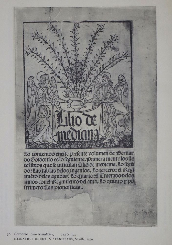 Große Abbildung Nr.1: 137-869 Morison,S. u. K.Day.: (Typographie und Kalligraphie)