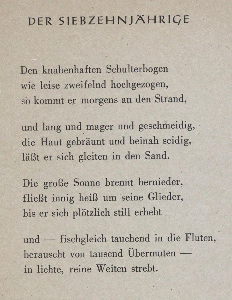 Große Abbildung Nr.31: 137-937 Neue Bildergallerie für die Jugend.: (Kinder- und Jugendbücher)