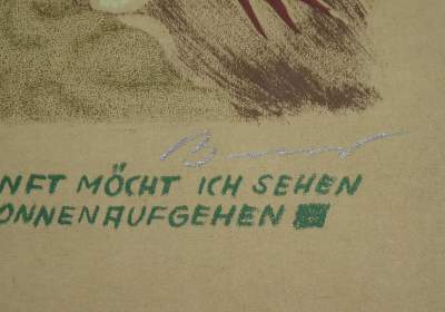 Bild Nr.4: 137-1133 Brauer,A.: (Literatur und illustrierte Bücher 20.Jahrhundert - Alte Literatur in modernen Ausgaben)