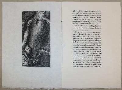 Bild Nr.3: 137-1245 Jünger,E.: (Literatur und illustrierte Bücher 20.Jahrhundert - Alte Literatur in modernen Ausgaben)