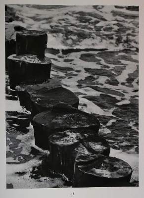Bild Nr.1: 137-1326 Renger-Patzsch,A.: (Photographie)