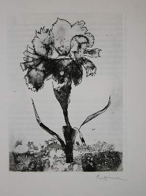 Bild Nr.3: 137-1344 Gessner,S.: (Reiner)