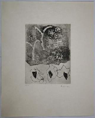 Bild Nr.6: 137-1344 Gessner,S.: (Reiner)