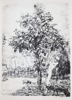 Bild Nr.1: 137-1394 Vergilius Maro, P.: (Literatur und illustrierte Bücher 20.Jahrhundert - Alte Literatur in modernen Ausgaben)