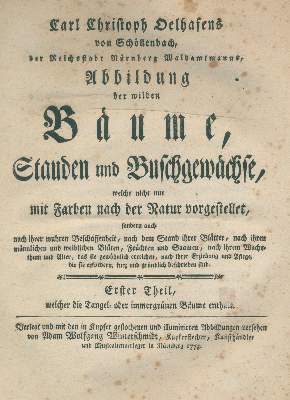 Bild Nr.1: 137-1427 Oelhafen von Schöllenbach,C.C.: (Botanik)