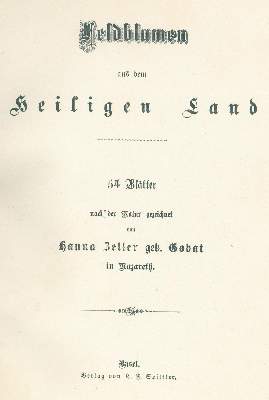 Bild Nr.3: 137-1433 Zeller,H. (geb. Gobat).: (Botanik)