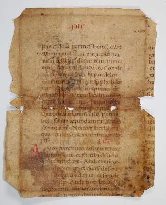 Bild Nr.1: 137-148 Fragment: (Handschriften, Bibeln)