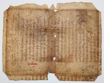 Bild Nr.2: 137-148 Fragment: (Handschriften, Bibeln)