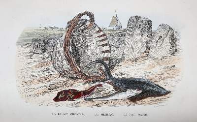 Bild Nr.1: 137-1500 Lacepede,(B.G.E.)de.: (Zoologie)