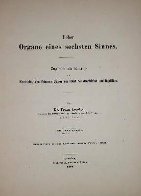 Bild Nr.2: 137-1501 Mathieu,A.: (Zoologie)