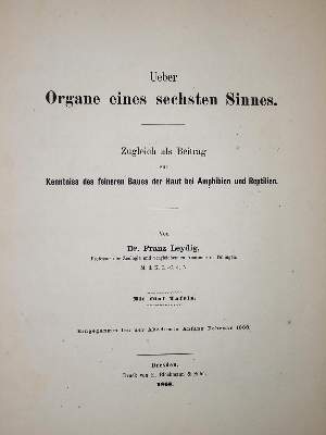 Bild Nr.7: 137-1501 Mathieu,A.: (Zoologie)