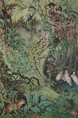 Bild Nr.1: 137-1543 Konvolut: (Verschiedene Gebiete - Varia)