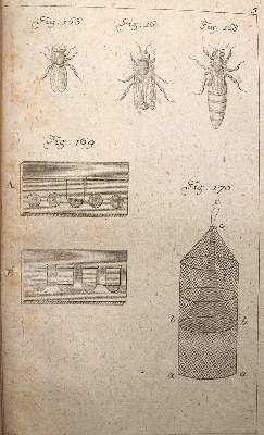 Bild Nr.1: 137-1548 Krünitz,J.G.: (Verschiedene Länder - Geschichte)