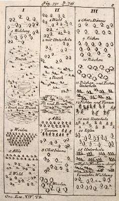 Bild Nr.1: 137-1558 Krünitz,J.G.: (Verschiedene Länder - Geschichte)