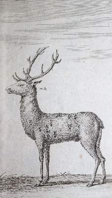 Bild Nr.1: 137-1567 Krünitz,J.G.: (Verschiedene Länder - Geschichte)