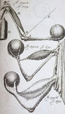 Bild Nr.1: 137-1600 Krünitz,J.G.: (Verschiedene Länder - Geschichte)