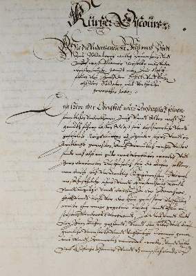 Bild Nr.2: 137-164 Nassau.: (Handschriften)