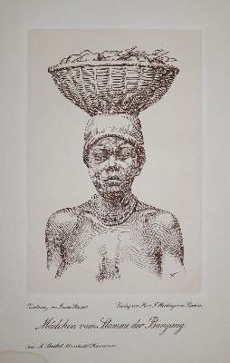 Bild Nr.1: 137-1663 Seidel,A.: (Afrika)
