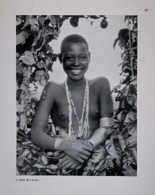 Bild Nr.4: 137-1663 Seidel,A.: (Afrika)