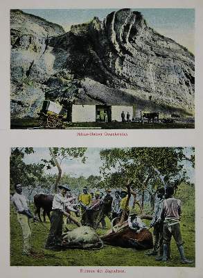 Bild Nr.6: 137-1663 Seidel,A.: (Afrika)
