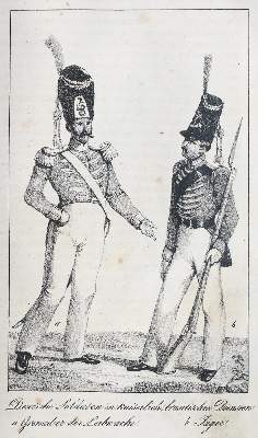 Bild Nr.2: 137-1688 Trachsler,H.: (Amerika)