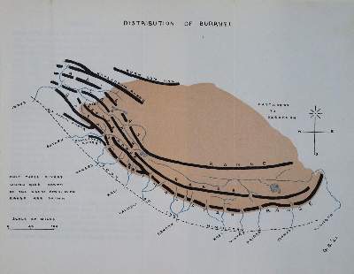 Bild Nr.1: 137-1703 Burrard,G.: (Asien)