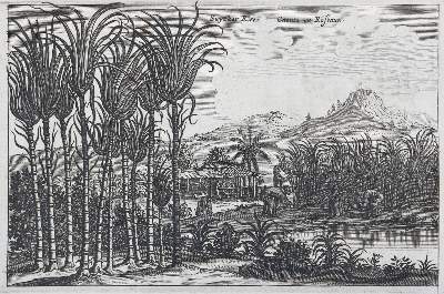 Bild Nr.4: 137-1708 Nieuhof,J.: (Asien, China)