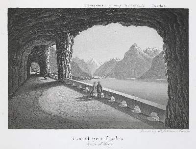Bild Nr.2: 137-1981 Dikenmann,R.: (Schweiz)