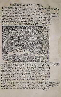 Bild Nr.3: 137-229 (Livius,T.: (Alte Drucke, Handschriften und Theologie)