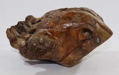 Bild Nr.3: 137-2506 Wurzelholzschnitzerei.: (Skulpturen - Plastiken)